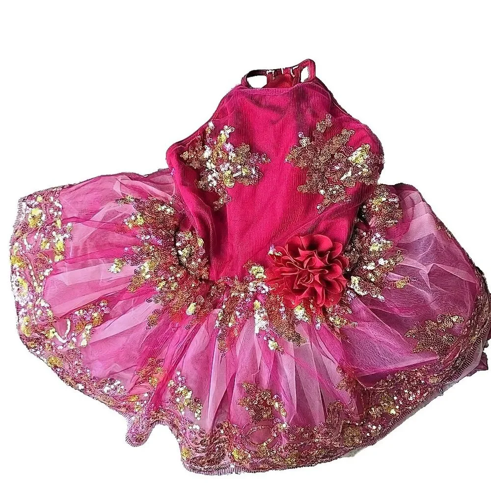 Ballet Dance Fairy Costume Revolution Fucia Maroon Large Child Gold Pink Sequens